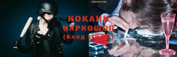 бошки Алексин
