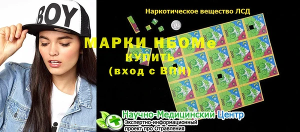 гашик Алексеевка