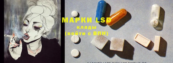 гашик Алексеевка