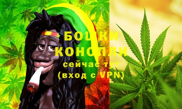 бошки Алексин