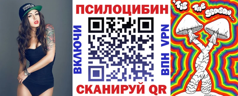 где купить наркоту  Киржач  Псилоцибиновые грибы MAGIC MUSHROOMS 